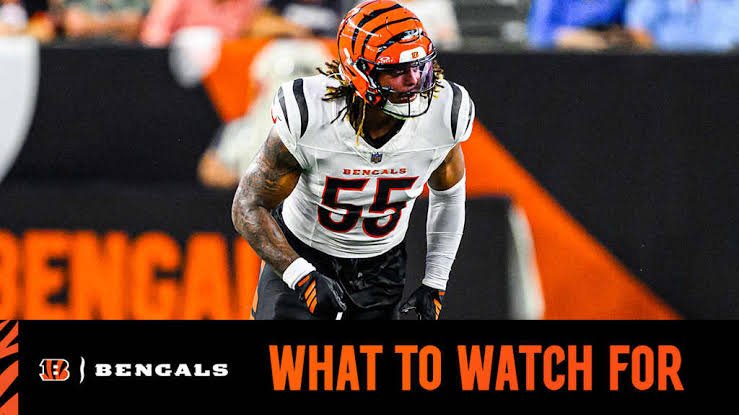Bears Vs Bengals — recent news image for a rising United States search trend