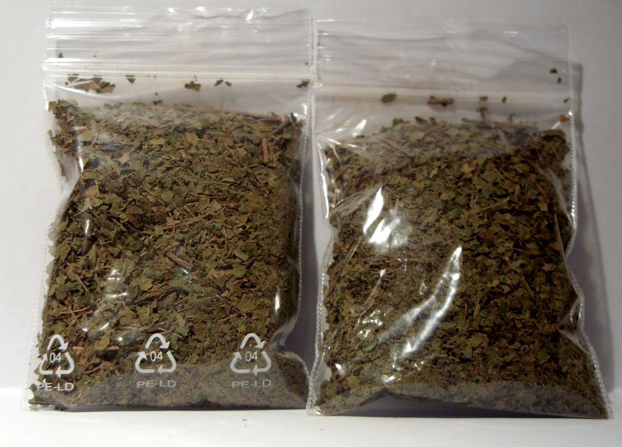 Kratom — recent news image for a rising United States search trend